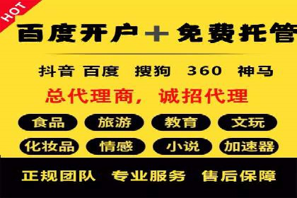 SEM搜索引擎优化成功案例，揭示优化策略与技巧
